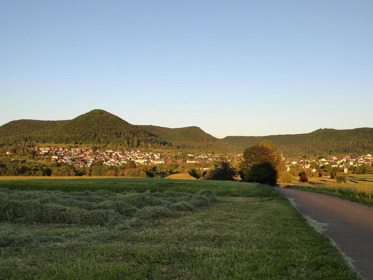 Ferienwohnungen Und Zimmer In Reutlingen-Goenningen Luaran gambar